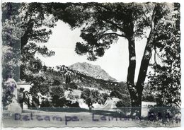 - 295 - AIX En PROVENCE - La Route Du Tholonet à Saint Anthonin Et La Montagne De., , Grand Format, Glacée, TBE, Scans. - Aix En Provence