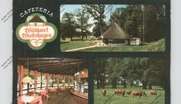 2303 TÜTTENDORF - WULFSHAGEN, Cafeteria Am Wildpark - Rendsburg