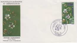 Enveloppe   FDC  1er   Jour   NOUVELLE   CALEDONIE    Orchidée  Calédonienne    1975 - FDC