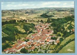 A113  CP  CHATONNAY  (Isère)  Vue Générale Aérienne.   ++++++++ - Châtonnay