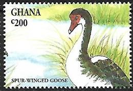 GHANA - MNH - 1994 :    Spur-winged Goose  -  Plectropterus Gambensis - Gansos