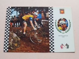 JOSE MARIA BASUALDO Espana > N° 11 Serie Ciclismo ( See Photo ) ! - Cycling