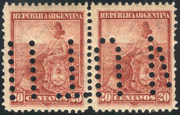 ARGENTINA: GJ.251, 1899 20c. Liberty PERFORATION 12, Pair With Bulk Mail Cancel "INUTILIZADO", VF And Rare! The Low Valu - Other & Unclassified
