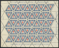 ARGENTINA: Argentine League Against Tuberculosis, 1956/7 Campaign, Complete Sheet Of 50 Cinderellas Of 1P., VF Quality! - Cinderellas