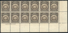BOLIVIA: Yvert 120A (Sc.127), 1919 2B. Sepia, Coat Of Arms, Large Corner Block Of 12 With Printer Imprint "American Bank - Bolivie