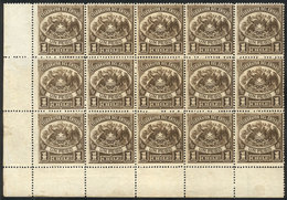 CHILE: Yvert 4, Block Of 15 Stamps, MNH, Excellent Quality! - Chile