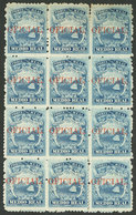COSTA RICA: Definitive Stamp Sc.1 With Red OFICIAL Overprint, Not Catalogued By Scott, MNH Block Of 12, With Minor Defec - Costa Rica
