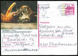 83006) BRD - P 138 - R3/35 - Ortsgleich OO Gestempelt - 7000 Stuttgart, Wilhelma, Sibirische Tiger - Postales Ilustrados - Usados