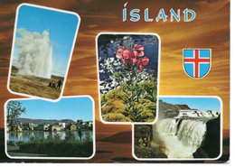 ISLAND - GEYSIR - GULLFOSS - REYKJAVIK - EYRARROS (CHAMAENERION LATIFOLIUM) - Islande