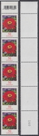 !a! GERMANY 2020 Mi. 3535 MNH Vert.STRIP(5) -coils- W/ Top Margin & Backside Number (160) - Flowers: Zinnia - Neufs