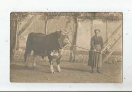 LA FRESNAYE (SARTHE) CARTE PHOTO AVEC  FERMIERE ET TAUREAU 1923 - La Fresnaye Sur Chédouet