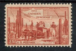 968131502 SCOTT 1028 POSTFRIS MINT NEVER HINGED EINWANDFREI (XX) - GADSDEN PURCHASE - Unused Stamps
