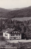 Payerbach * Hotel Pension Astrid, Auto, Garten * Österreich * AK1324 - Neunkirchen