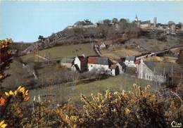 53-SAINTE-SUZANNE- LE GRAND MOULIN - Sainte Suzanne