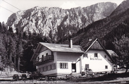 Reisstal Bei Nasswald * Binder Wirtshaus, Alpengasthof, Auto, Kahlmäuer, Raxalpe, Alpen * Österreich * AK1533 - Neunkirchen