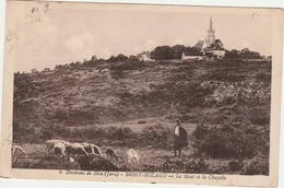 DOLE  JURA  39- CPA   MONT ROLAND   VUE GENERALE  -LE MONT ET LA CHAPELLE - Dole