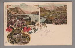 AK CH SG Weesen 1901-07-07 Litho PKZ # 1032 (Riss Verklebt) - Weesen