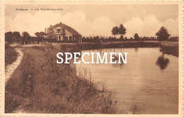 De Scheldeboorden - Avelgem - Avelgem