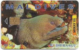 Maldives - Dhiraagu (chip) - Morey Eel - 187MLDGIB - Chip Siemens S30, 50MRf, Used - Maldive