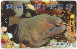 Maldives - Dhiraagu (chip) - Morey Eel - 256MLDGIA - Chip Siemens S35, 50MRf, Used - Maldivas