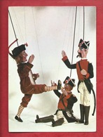 Delcampe - CPM - Amiens - La Fleur Rossant " Chés Cadoreux" Marionnettes Traditionnelles Picardes - "Chés Cabotants D'Amiens" - Amiens