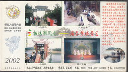 China, 2002, Postal Stationery, Pre-Stamped Post Card, Peacocks, MNH** - Pfauen