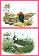 2 Carte Maximum - Kemphaan - Kievit - Zomerpostzegels - Illust. JOHN GOULD - 1984 ( S 1016 ) - Birds