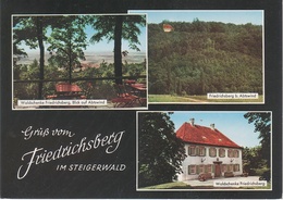 AK Gruß Waldschenke Gasthof Friedrichsberg Steigerwald Abtswínd Rüdenhausen Wiesentheid Prichsenstadt Castell Kitzingen - Kitzingen