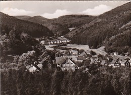 AK Luftkurort Laasphe - Blick Ins Laasphetal   (48780) - Siegen