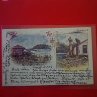 ALASKA FORT WRANGELL 1903 - Andere & Zonder Classificatie