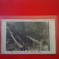 CARTE PHOTO TCHEQUIE NORD BOHEMIA FORESTI 1922 - Tschechische Republik