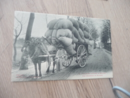 CPA 81 Tarn Industrie Laitière De Mazamet Une Charette De Bourras Cliché Janson Labouche - Mazamet