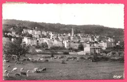 Cp Dentelée - Callas Du Var - Vue Générale - Mouton - Eglise - Edit. CIM - 1964 ( S 1049 ) - Callas