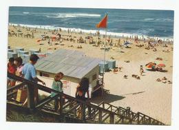 40 Landes Mimizan Plage Nord Animée - Mimizan Plage