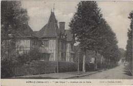 Delcampe - 76 Aumale Les Houx Avenue De La Gare - Aumale