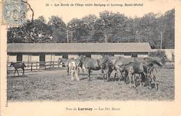 91-LORMOY-SAINT-MICHEL- LES BORD DE L'ORGE ENTRE SAVIGNE ET LORMOY, PARC DE LORMOY, LES DIX BOXES - Saint Michel Sur Orge