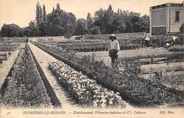 91-VERRIERES-LE-BUISSON- ETABLISSEMENT VILMORIN-ANDRIEUX ET Cie CULTURES - Verrieres Le Buisson