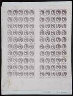 ARGENTINA: CIGARS: Year 1895, 2½c., Complete Sheet Of 100 Examples, Excellent Quality, Very Rare! - Other & Unclassified