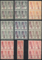 ARGENTINA: National Taxes, INSURANCE: Year 1909, The Set Of 26 Values Between 5c. And 300P., Including Some Color Variet - Autres & Non Classés