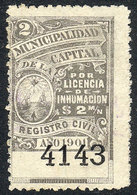 ARGENTINA: BUENOS AIRES: Internment, Year 1901, 2P. Black-gray, Used, Rare! - Autres & Non Classés