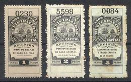 ARGENTINA: MUNICIPALITY OF BUENOS AIRES: Registro De Propiedad De Animales, Year 1904, Set Of 3 Values 1P. To 5P., Rare! - Other & Unclassified