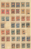 ARGENTINA: Province Of Buenos Aires, GUÍAS DE CAMPAÑA: Year 1901, 5c. To 100P., Complete Set Of 21 Examples With "T" Ove - Sonstige & Ohne Zuordnung