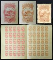 ARGENTINA: Province Of BUENOS AIRES - Municipality Of BAHÍA BLANCA: Imperforate Double Sheet (circa 1890) With 25 Stamps - Sonstige & Ohne Zuordnung