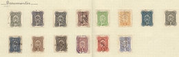 ARGENTINA: PROVINCE OF SAN JUAN: Year 1889 To 1908, Collection On Pages, In Total 81 Stamps, Some Very Rare, Fine Genera - Autres & Non Classés