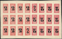 ARGENTINA: PROVINCE OF SAN JUAN: Grape-juice And Wine Tax: Provisional Stamp Of 2c. On ½c., Complete Sheet Of 24 Example - Other & Unclassified