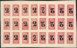 ARGENTINA: PROVINCE OF SAN JUAN: Grape-juice And Wine Tax: Provisional Stamp Of 2c. On ½c., Complete Sheet Of 24 Example - Autres & Non Classés