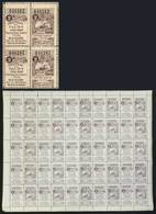 ARGENTINA: Province Of SANTA FE: Year 1907 Patentes, Contrucción Directa Y Guia 2 Cents, COMPLETE SHEET Of 25 Examples W - Sonstige & Ohne Zuordnung