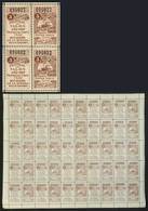 ARGENTINA: Province Of SANTA FE: Year 1907 Patentes, Contrucción Directa Y Guia 3 Cents, COMPLETE SHEET Of 25 Examples W - Autres & Non Classés