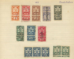 MEXICO: National Taxes, RENTA INTERIOR (Internal Revenue): Year 1897 To 1899, 6 Album Pages Of An Old Collection With 10 - Mexiko