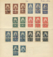 MEXICO: National Taxes, RENTA INTERIOR (Internal Revenue): Year 1900 To 1904, 10 Album Pages Of An Old Collection With 1 - Mexico